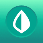 mint-logo-5-tools-per-budget-wedding-planner